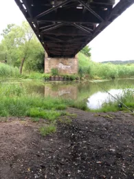 Wriezener Alte Oder (Bad Freienwalde)-1