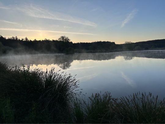 Waldfriedweiher (Aiglsbach)-3