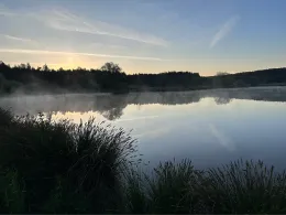 Waldfriedweiher (Aiglsbach)-3