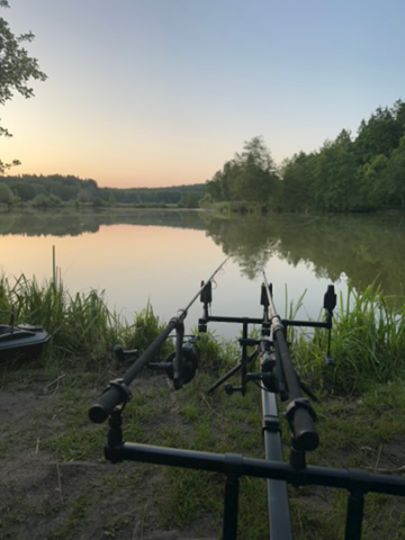 Waldfriedweiher (Aiglsbach)-4