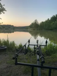 Waldfriedweiher (Aiglsbach)-4