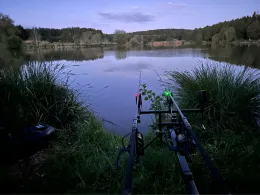 Waldfriedweiher (Aiglsbach)-2