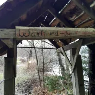 Waldfriedweiher (Aiglsbach)-1