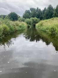 Große Striegis (Berbersdorf)-2