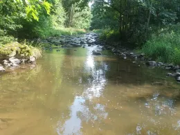 Große Striegis (Berbersdorf)-1