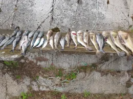 Nordsee (Haugesund)-3