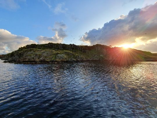 Nordsee (Haugesund)
