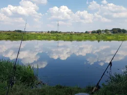 Naab (Schwarzenfeld)