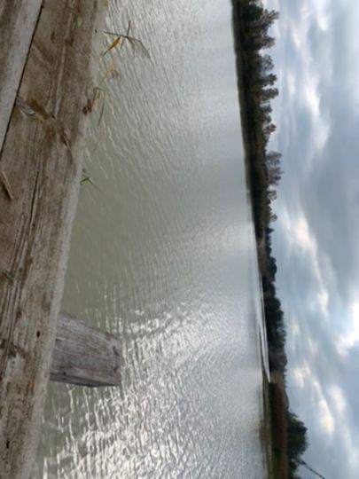 Naab (Schwarzenfeld)-4