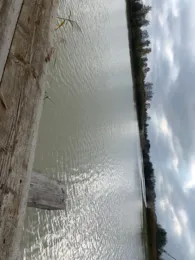 Naab (Schwarzenfeld)-4