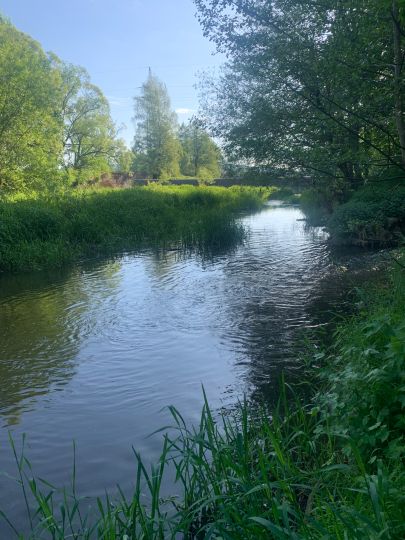 Naab (Schwarzenfeld)-3