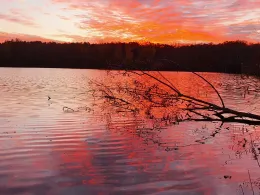 La Motta Seen (Vienenburg)