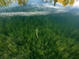 La Motta Seen (Vienenburg)-3