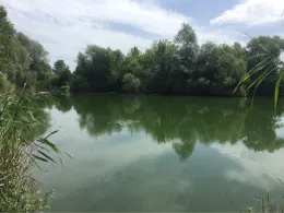 Baggersee Hirschenwert
