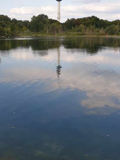 Große Blies (Ludwigshafen)