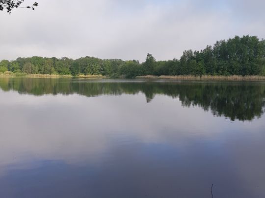 Waschweiher