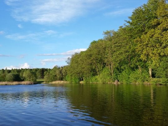 Waschweiher-3