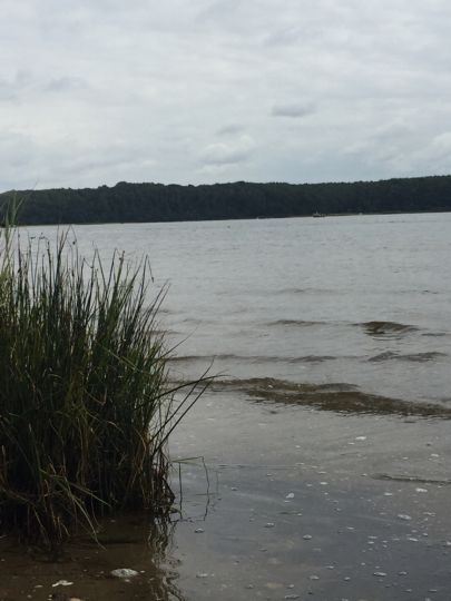 Trave (Dummersdorfer Ufer) angeln