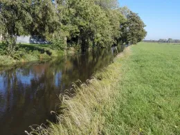 Medem (Neuenkirchen)-1