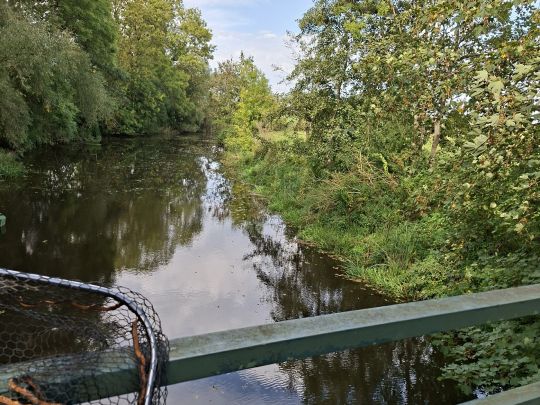 Medem (Neuenkirchen)-2