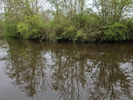 Medem (Neuenkirchen)-3