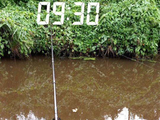 Altenbrucher Kanal (Lüdingworth)-4