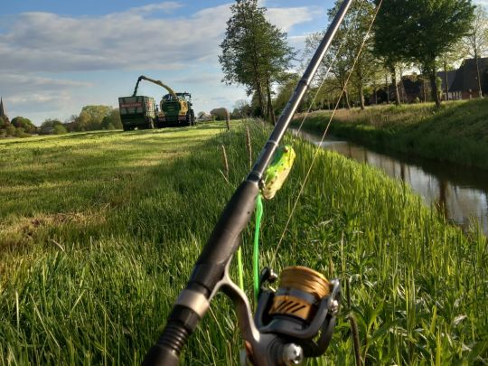 Altenbrucher Kanal (Lüdingworth)-1