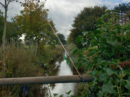 Altenbrucher Kanal (Lüdingworth)-2