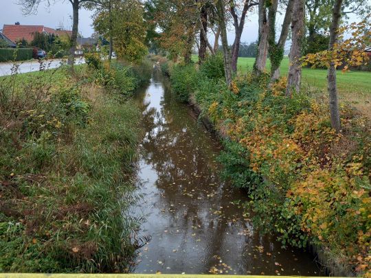 Altenbrucher Kanal (Lüdingworth)-3