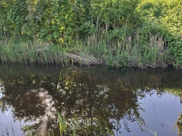 Altenbrucher Kanal (Lüdingworth)