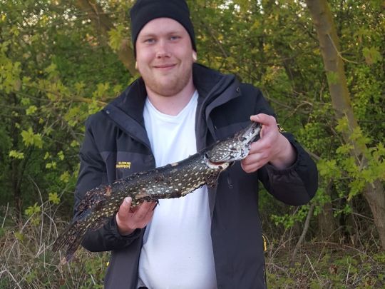 Bauersee (Lüssow)-3