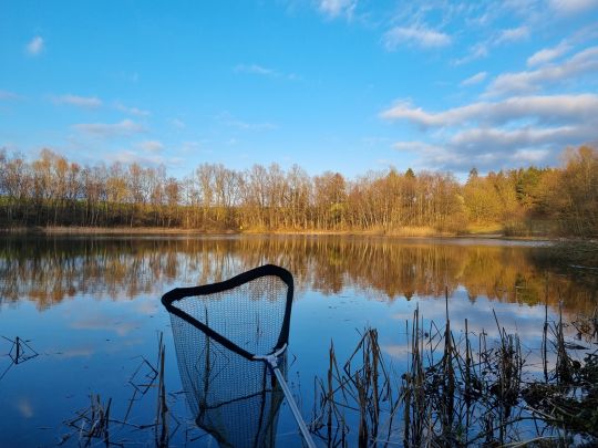 Bauersee (Lüssow)-1