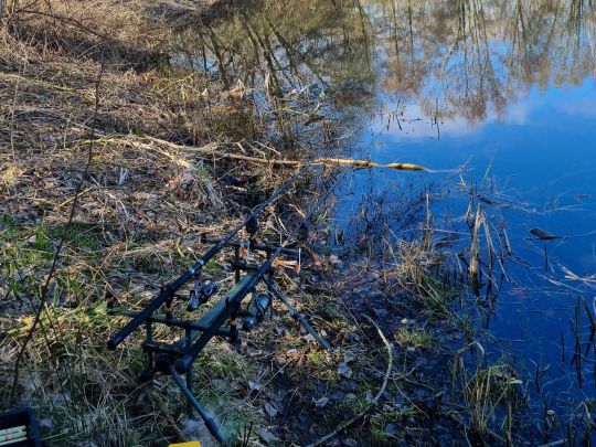 Bauersee (Lüssow)-4