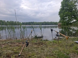 Großteich (Niesky)-3