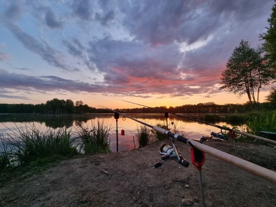 Großteich (Niesky)-1