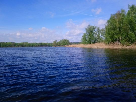 Großteich (Niesky)-4