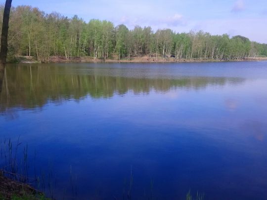 Großteich (Niesky) ALLE ANGELN