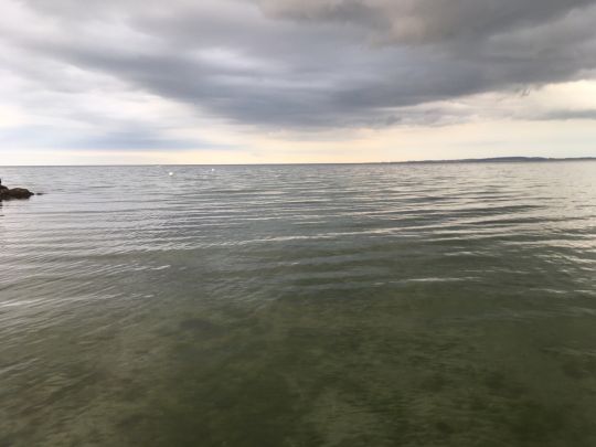 Ostsee (Hohwacht)