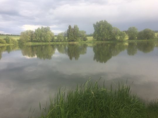 Großer Seifenteich (Bad Steben)-2