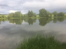 Großer Seifenteich (Bad Steben)-2