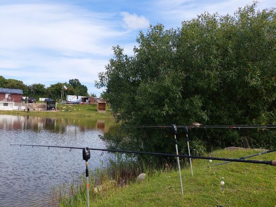 Forellensee Brekendorf-2