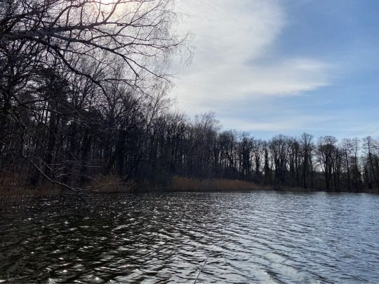Priestersee (Grünheide)-2