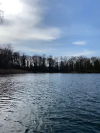 Priestersee (Grünheide)-1