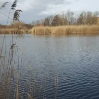 Baggerloch an der Sülzewiese (Hermeckers Kiesloch)