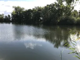 Baggerloch an der Sülzewiese (Hermeckers Kiesloch)-3