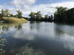 Baggerloch an der Sülzewiese (Hermeckers Kiesloch)-2