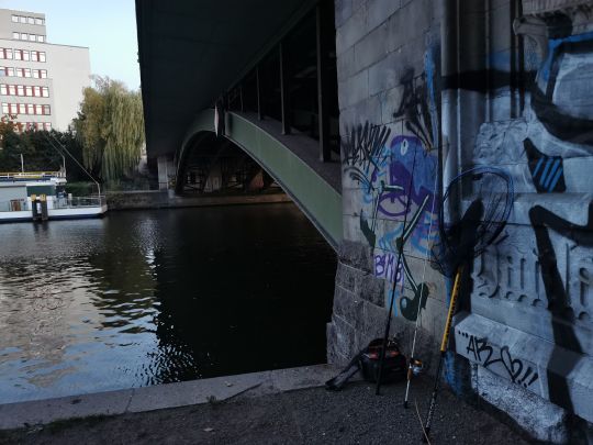 Spree (Berlin-Tiergarten) angeln