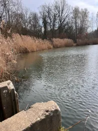 Fischteiche Marx (Wüstenjerichow)-2