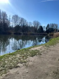 Fischteiche Marx (Wüstenjerichow)-3