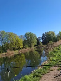 Fischteiche Marx (Wüstenjerichow)-4